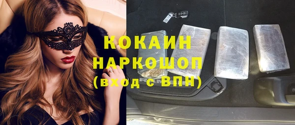 2c-b Новозыбков