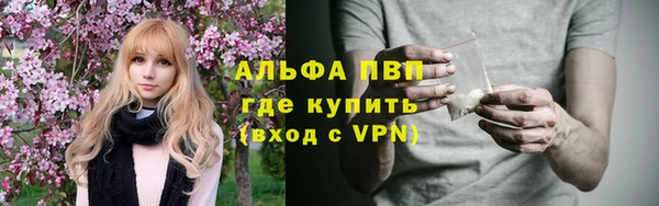 2c-b Новозыбков