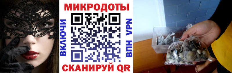 цена   Усть-Илимск  Псилоцибиновые грибы Cubensis 