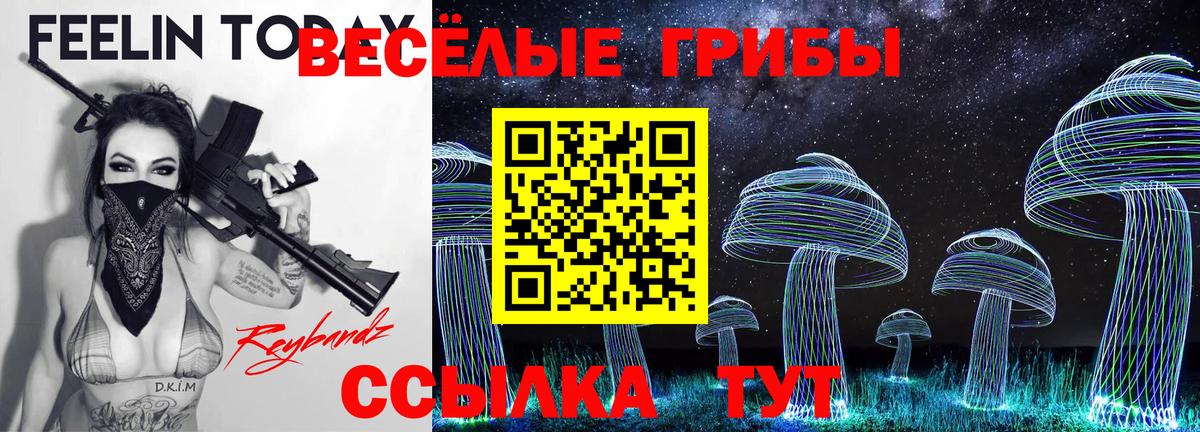 Псилоцибиновые грибы Magic Shrooms Усть-Илимск