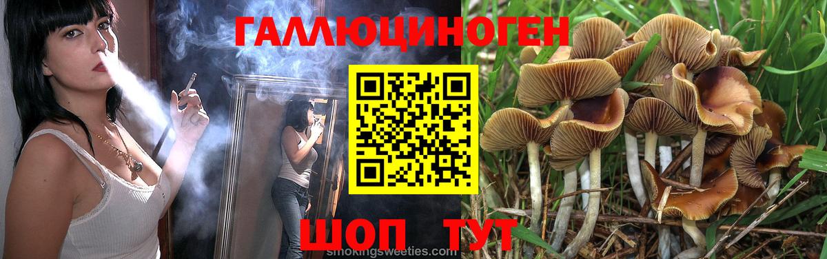Галлюциногенные грибы MAGIC MUSHROOMS  закладки  Галлюциногенные грибы Cubensis  Усть-Илимск  Вход с VPN 