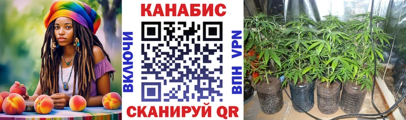 Канабис планчик  купить наркотики сайты  Усть-Илимск 